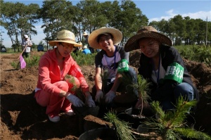 百德带领大家伙植树